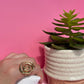 Anillo en espiral – Oro o Plata